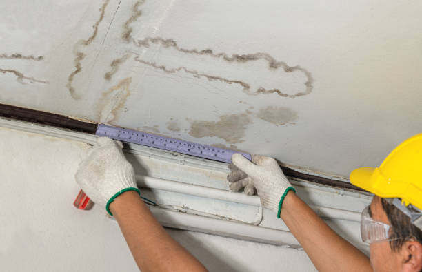 Reliable Water Damage contractor in Middlefield, MA by Water Damage Irwin